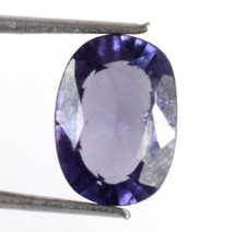  on The Hot Collector