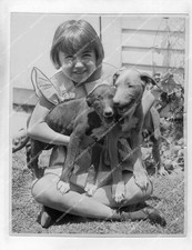 o68013 1933 orig photo animals puppy dog racing greyhounds at Compton Kennel clu