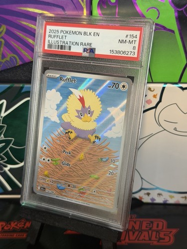 Rufflet graded PSA 8 for sale on eBay