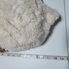 Bild 8 von 8
