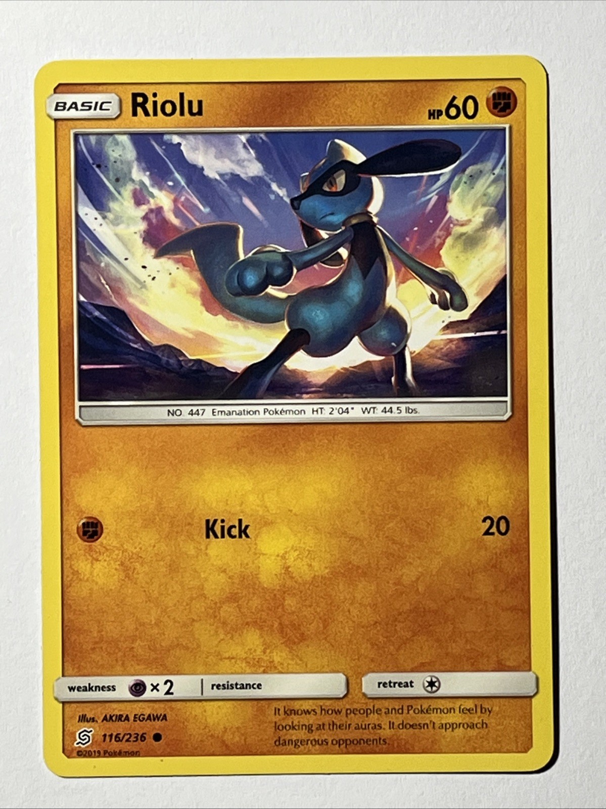 Riolu 116/236 Common Regular Card SM - Unified Minds Pokemon TCG LP