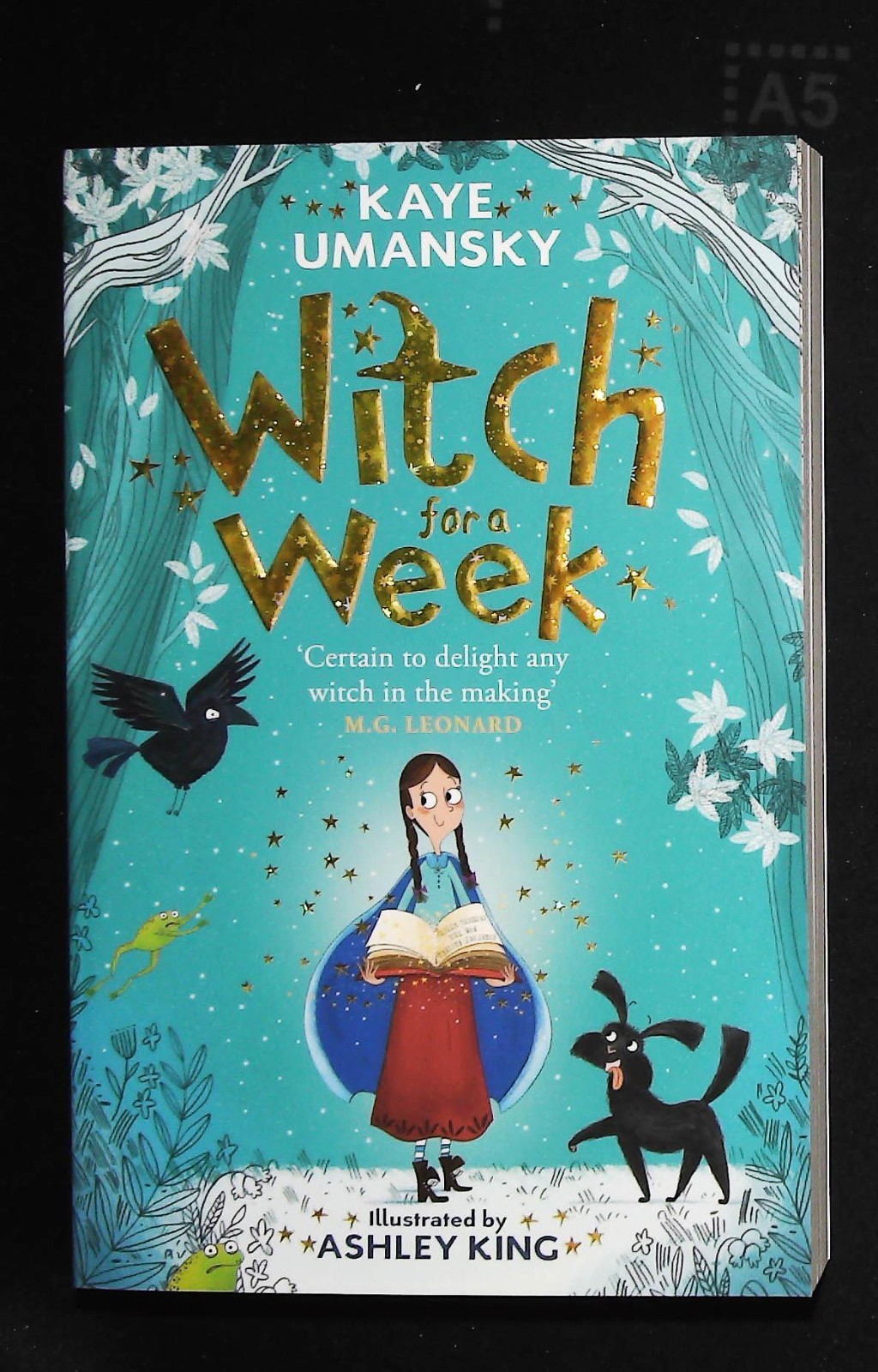 Kaye Umansky Witch for a Week (Elsie Pickles and Magenta Sharp, 1) New Book