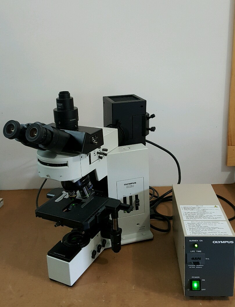 Olympus Microscope BX50 with Fluorescence (Fully Serviced