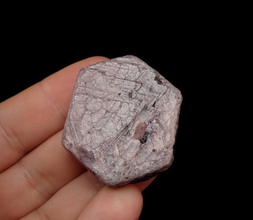 CORUNDUM var. RUBY big well formed crystal !! TANZANIA Kilimanjaro Region /ph448 - Picture 8 of 9