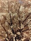 Gold single tree on canvas oil painting 20 x 24" — photo 4