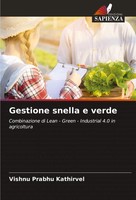 Gestione Snella E Verde Vishnu Prabhu Kathirvel Taschenbuch Italienisch 2022