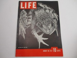Life Magazine 1937 | eBay