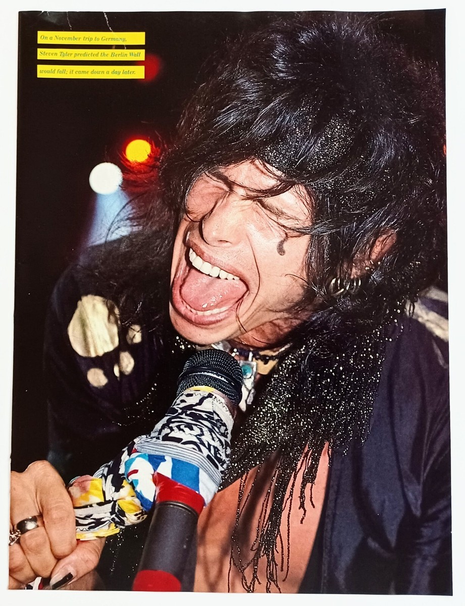 Aerosmith エアロスミス Steven Tyler ギターピック Aerosmith エアロスミス Steven Tyler ギターピック