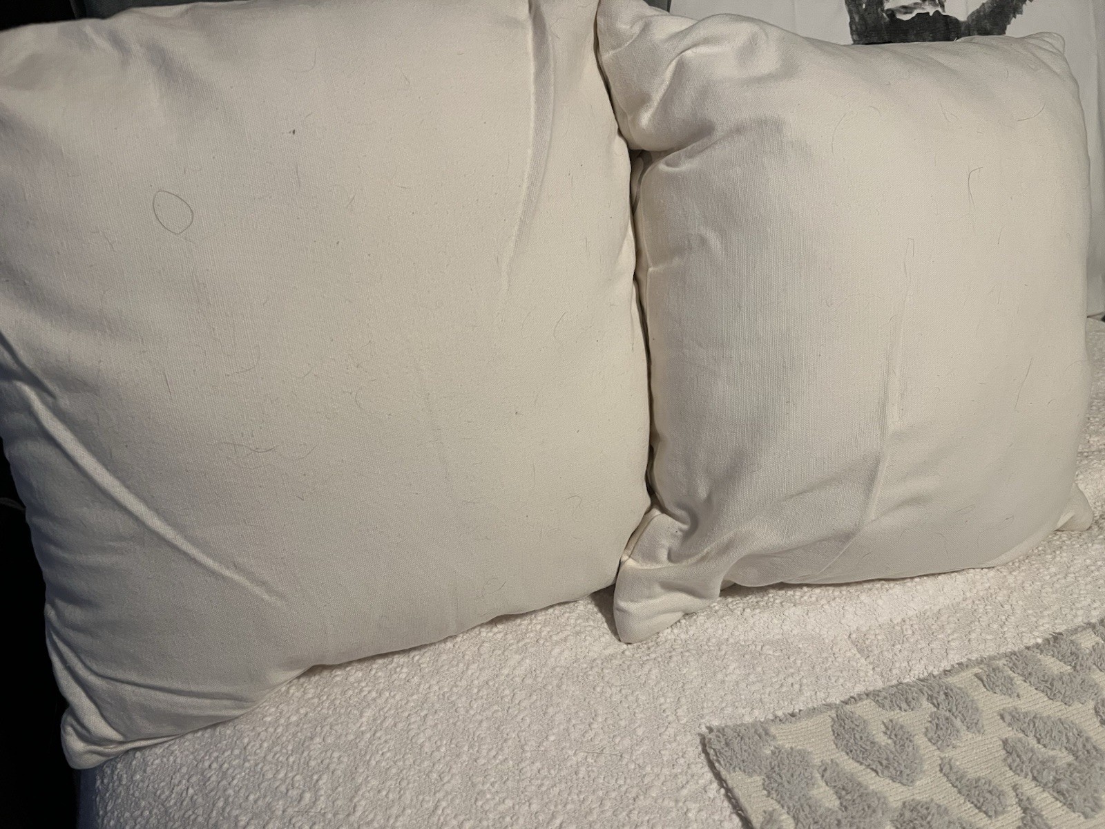 White And Silver Foil Lattice Design Throw Pillows, Set Of 2