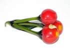 Vintage Arte Murano ICET Hecho Venezuela Hand-Blown Art Glass CHERRIES, LABEL