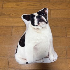 Plush Dog - Pug