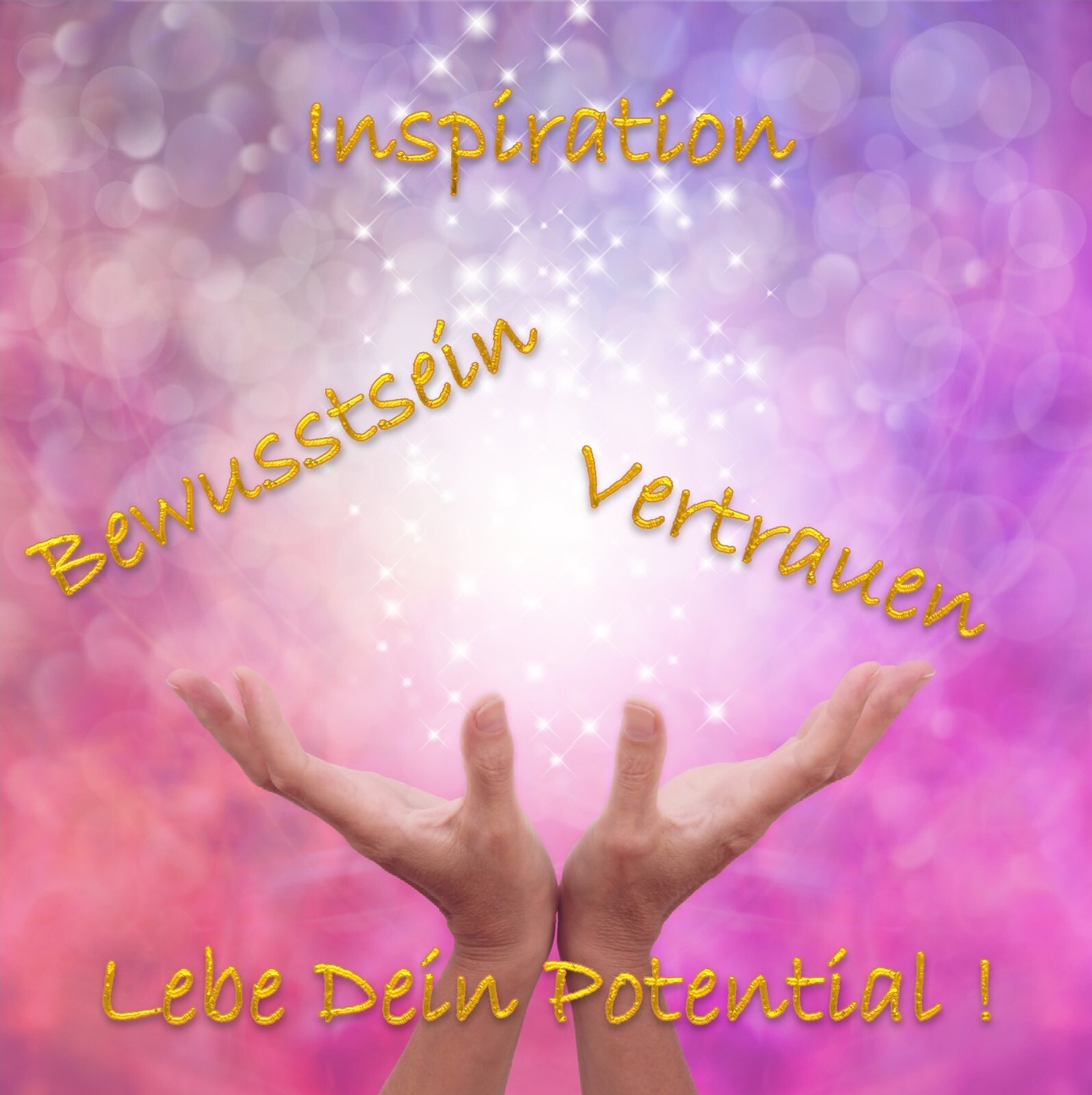 Bild 1 von 2