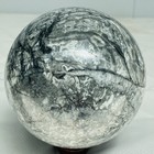 Natural Insectconch fossil crystal Ball Quartz Crystal Sphere Reiki Healing2820G — photo 10