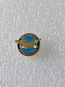 Eagle Emblems P63775 Pin - USN Logo, Grandparent - 1.25 in