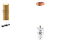 MANN-FILTER Inspektionspaket Filtersatz XL Partikelfilter Leitungsfilter für SL