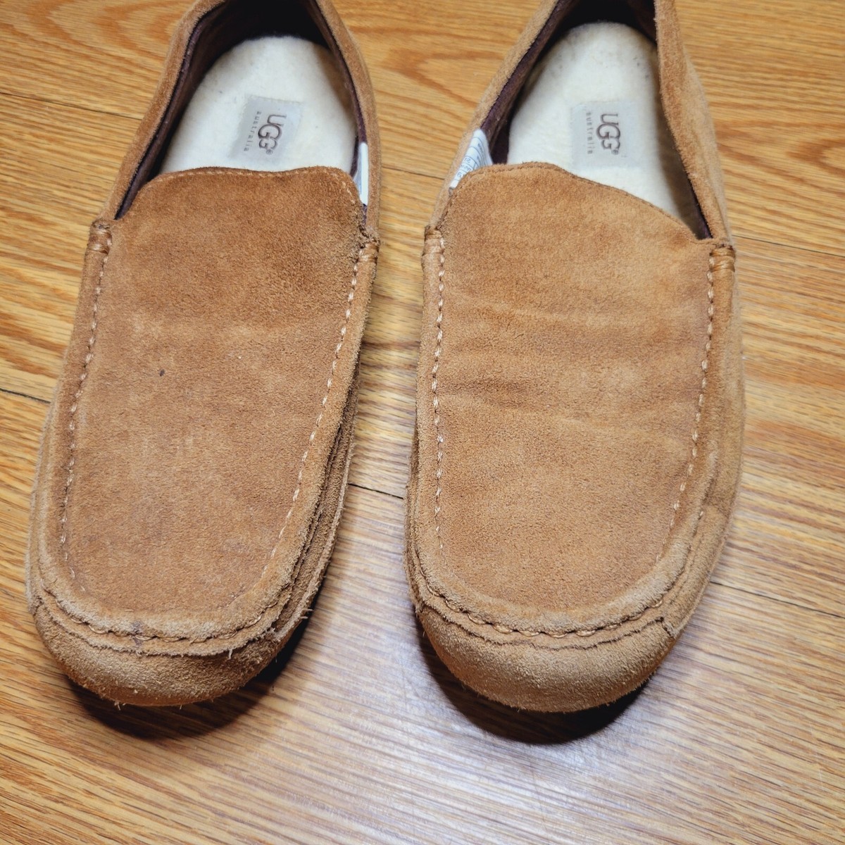 UGG Men display picture 2