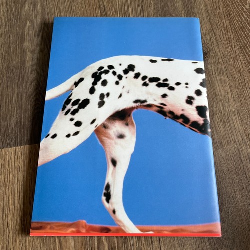 Pet Shop Boys Concert Programme 1989 MCMLXXXIX Tour Official Pop Book Live Promo - Foto 4 di 5