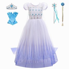 Elsa Costume Girls Princess Dress Up Set w/ Accessories for Birthday Fancy Party