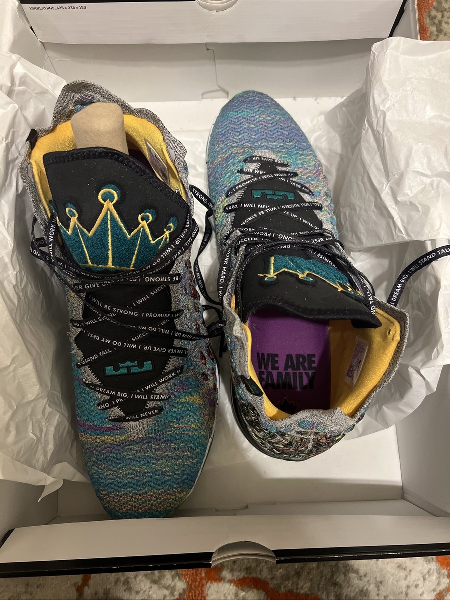 シューズ(男性用) Lebron XVII (17) 'I Promise' NEW Sz 17 Nike LeBron James XVII 17 I Promise Limited