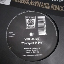 VIBE ALIVE - THE SPIRIT IN ME