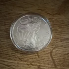 U.S. Mint 2020 American Silver Eagle $1 oz .999 Silver Business Uncertified
