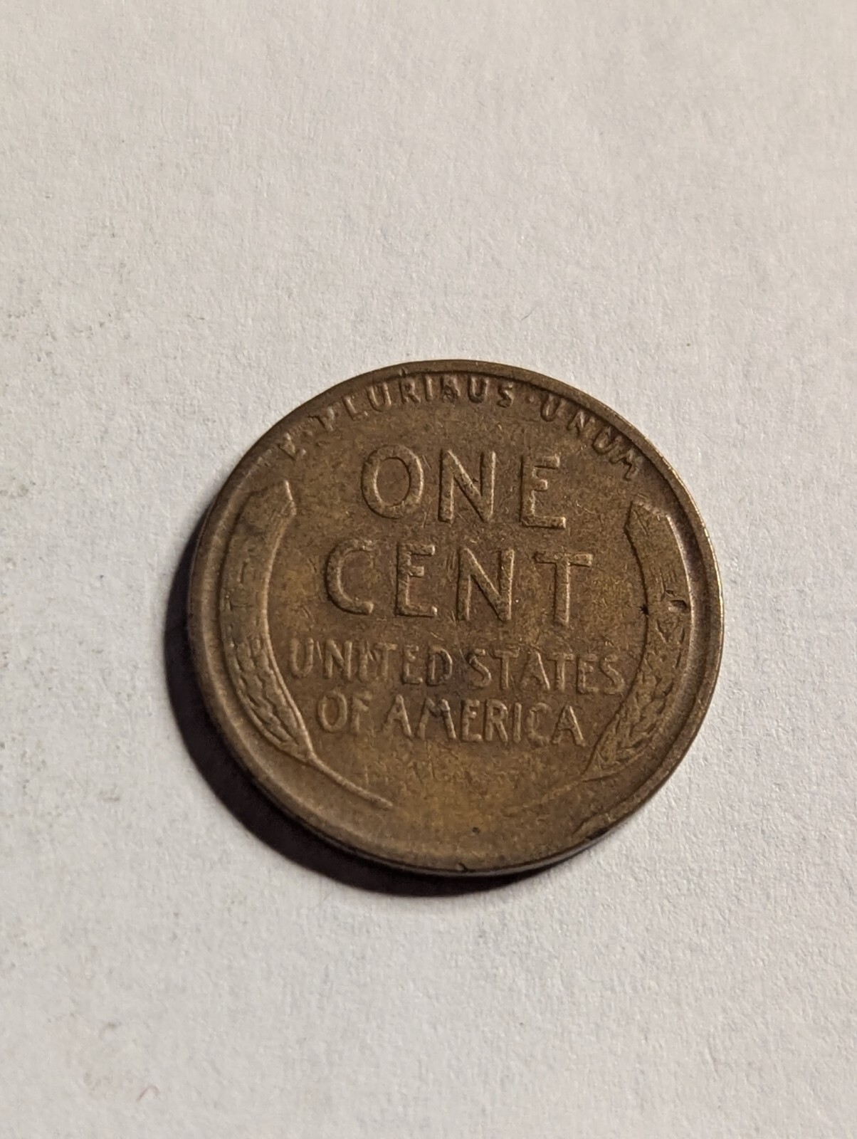 Picture 5 of 21