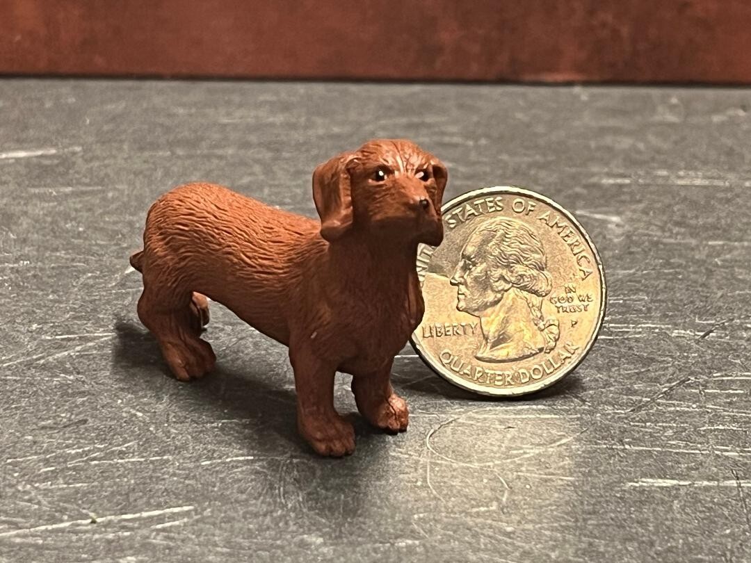 Miniature Dachshund Dog Dollhouse Pet 1:12 Scale C61 Dollys Gallery