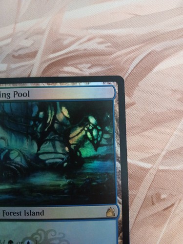 Magic The Gathering Breeding Pool Foil Ravnica Remastered Rare NM 2024 - Picture 3 of 10