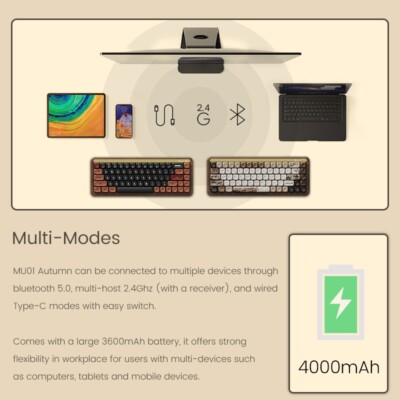 Akko MU01 Wooden Mechanical Gaming Keyboard 65% RGB Hot-swap