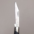 Buck knives 309 T with silver steel blades, black handles, and white “BUCK 309 T.U.A.” engraving on side.