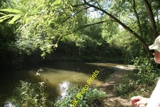 Photo 6x4 View of the River Roding from Roding Valley Nature Reserve #2 C c2016