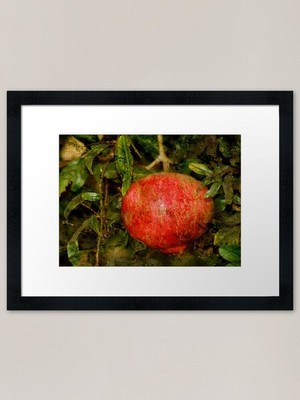 Granate mit Texturen Gerahmtes Kunstdruck Pr Gerahmtes Wandbild Poster Leinwanddruck Bild