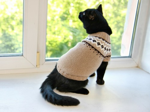 Hand Knitted Cat Sweater "Norwegian", Handmade Icelandic Wool Jumper for Dog - 第 4/8 張圖片