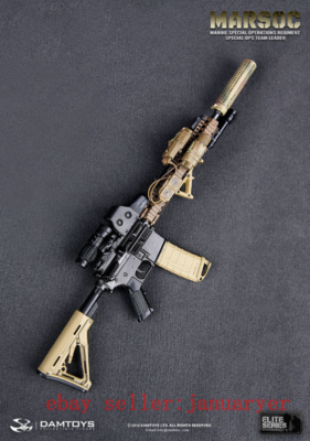 Perfect Damtoys 78006 1/6 Marsoc Special Ops Team Leader Action