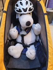 Chariot Cougar SX in gutem