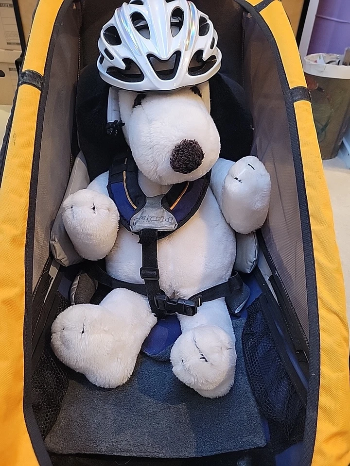 Chariot Cougar SX in gutem zustand mit Zubehör Und Reise Tasche 