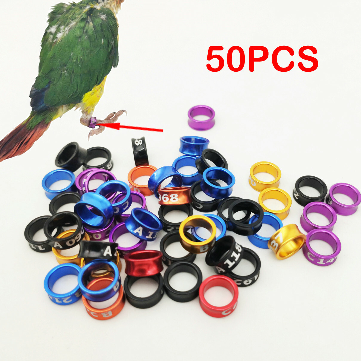 50pc 38mm Aluminium alloy Closedloop Bird Leg Bands Parrot Canary Colorrandom eBay