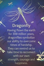 Dragonfly Notebook: Dragonfly Pattern Dreams Journal Wide Ruled Lined Reflec...