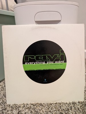 Ray-j - Everything You Want Vinyl Record Soul Funk  RnB