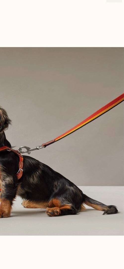 Hermes Rocabar Orange Nylon Leather Dog Leash B9
