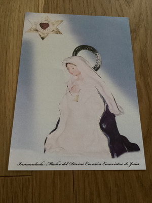 INMACULADA MADRE del DIVINO - HERZ JESU - GEBETSBILD 2025 SPANIEN- San Sebastian