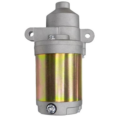 Anlasser für verschiedene Modelle für Craftsman T1000 für Powermore Motoren