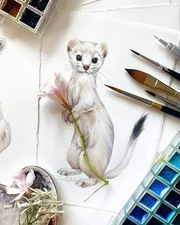 Original Watercolor Baby Ermine 6x8 Painting Unique Artwork Wall Art