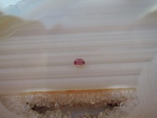 Echter Rubin oval Cabochon Schmuck Edelstein Fasserstein 252