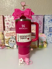 TARGET EXCLUSIVE VALENTINES COSMO PINK 40OZ STANLEY QUENCHER W/ACCESSORIES BNWT