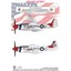 North American P-51 D Mustang 'Bicentennial' and