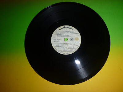 Vinyl - Schallplatte - Audiodisc - USA -The Hunters, Bobby Rydell, u.a