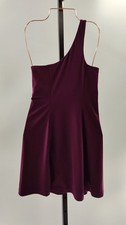 Quince Ultra-Form One-Shoulder Active Dress Plum Basic Sleeved XS