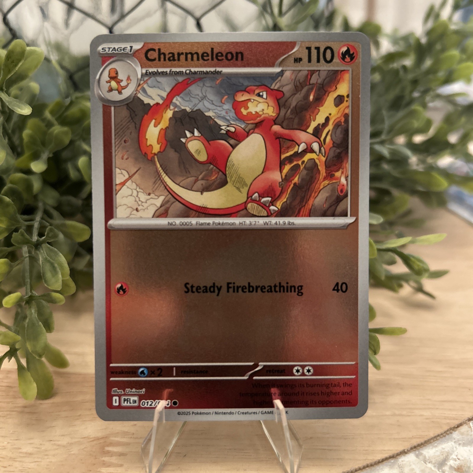Pokémon TCG Charmeleon 012/094 Phantasmal Flames Reverse Holo NM