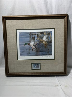 NORTH CAROLINA  FIRST YEAR 1983 STATE DUCK STAMP PRINT by Richard Plasschaert